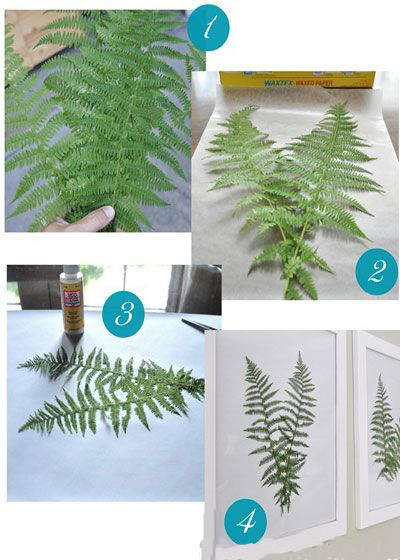 植物裝飾畫(huà)